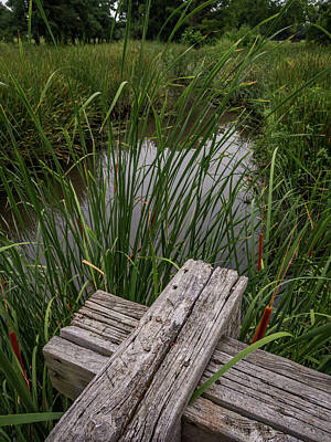 States As License Plates - Weathered Wood at the Creek  by Buck Buchanan