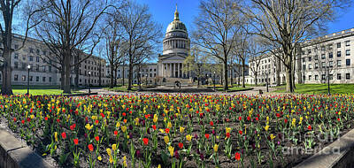 Colorful Pop Culture Rights Managed Images - West Virginia State Capitol 6860 Royalty-Free Image by Jack Schultz