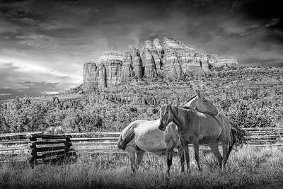Randall Nyhof Royalty-Free and Rights-Managed Images - Western Horses in a Fenced in Pasture among the Red Rocks in Bla by Randall Nyhof