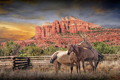 Randall Nyhof Royalty-Free and Rights-Managed Images - Western Horses in a Fenced in Pasture among the Red Rocks by Randall Nyhof