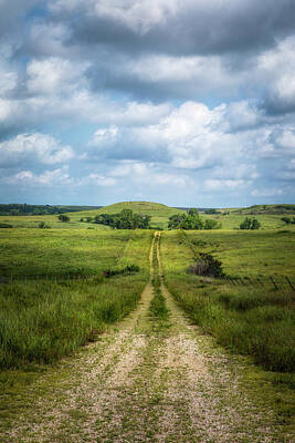 Scott Bean Royalty Free Images - Where Does The Road Go Royalty-Free Image by Scott Bean