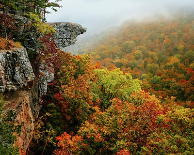 Recently Sold - Roses Royalty Free Images - Whitaker Point Autumn Royalty-Free Image by Jeff Rose