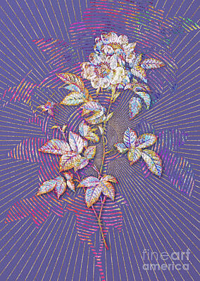Open Impressionism California Desert - White Anjou Roses Mosaic Botanical Art on Veri Peri n.0433 by Holy Rock Design