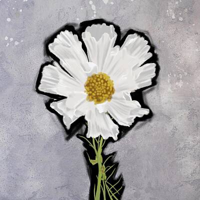 Still Life Mixed Media - White Cosmos Flower by Masha Batkova