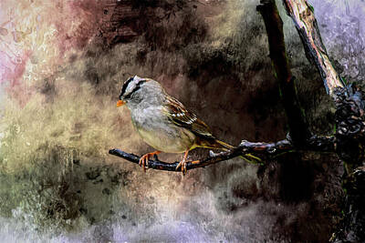 Beach House Shell Fish - White Crowned Sparrow In A Storm Artistic 1 by Linda Brody