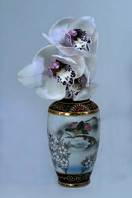 Laundry Room Signs -  White Cymbidium Orchids Boat Orchids closeup in a vase isolat by Geoff Childs