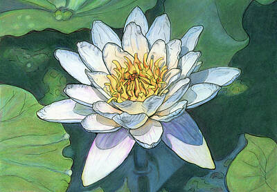 Lilies Mixed Media - White Lotus Water Lily by Christina Kabat