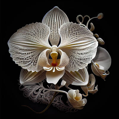 Lilies Digital Art - White Orchid II - Majestic Orchids Collection by Lily Malor