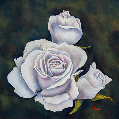 Roses Royalty-Free and Rights-Managed Images - White Roses by Brett Winn