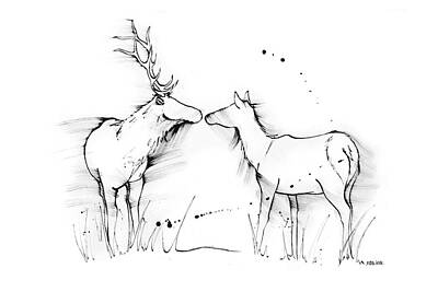 Birds Drawings - Wild Romance - 2 deer in the field by Running Duck Studio