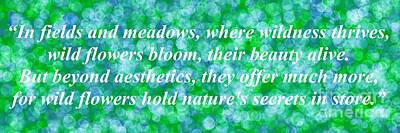 Floral Digital Art - Wildflowers Botanical Quote 01 by Douglas Brown