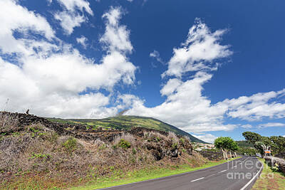 Lady Bug - Winding Road on Pico Island by Danaan Andrew