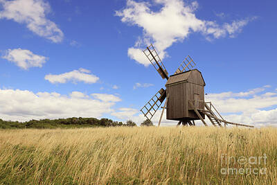 Modigliani - Windmill by Roland Magnusson