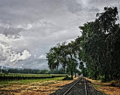 Martini Royalty-Free and Rights-Managed Images - Wine Country and Train Tracks by Maggy Marsh