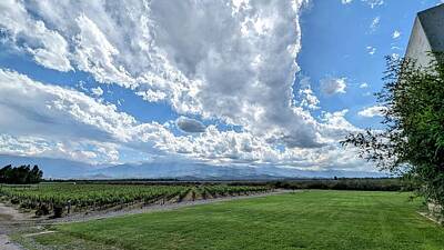 Mountain Royalty-Free and Rights-Managed Images - Wine Country by Claire Staffa