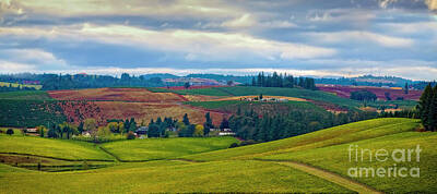 Little Mosters Rights Managed Images - Wine Country Royalty-Free Image by Jon Burch Photography