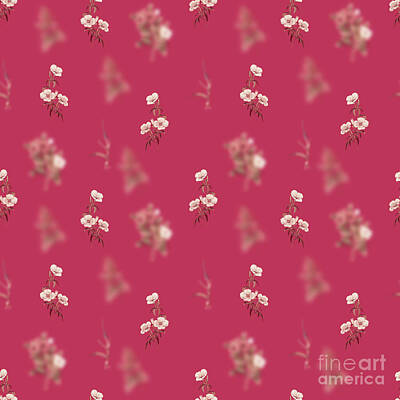 Wine Mixed Media - Wine Stained Godetia Flower Botanical Seamless Pattern in Viva Magenta n.1174 by Holy Rock Design