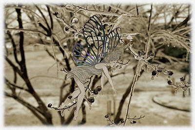 Gaugin Royalty Free Images - Winter Faery Icy Morning - sepia demicolour Royalty-Free Image by Katherine Nutt