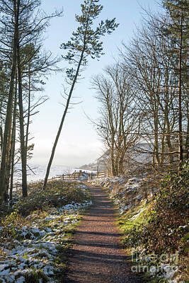 Beach Days - Winter footpath The Macclesfield Forest by Michael Walters