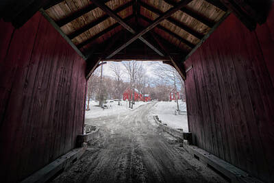 Wild And Wacky Portraits - Winter in Vermont - Green River Covered Bridge by Joann Vitali