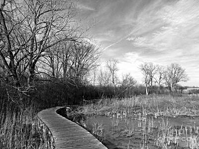 Frank J Casella Royalty-Free and Rights-Managed Images - Winter Sky Over The Wetlands by Frank J Casella