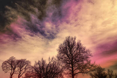 Sports Tees - Winter Stormy Twilight  Sky by Ann Powell