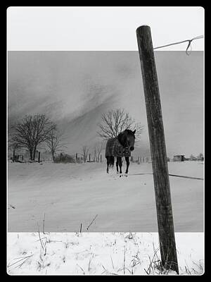 Animals Digital Art Royalty Free Images - Winter Tale Royalty-Free Image by Celestial Images