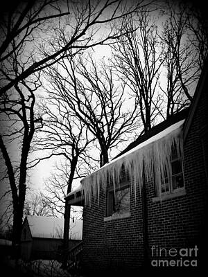 Frank J Casella Royalty-Free and Rights-Managed Images - Winter Trees and Icicles - Holga Effect by Frank J Casella