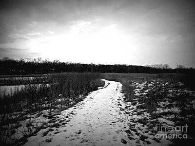 Frank J Casella Royalty-Free and Rights-Managed Images - Winter Wetlands Walk - Frank J Casella by Frank J Casella