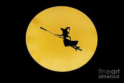 Comics Photos - Witch Flying Across The Full Moon R1 by Humorous Quotes