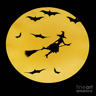 Comics Photos - Witch Flying Across The Full Moon R4 by Humorous Quotes