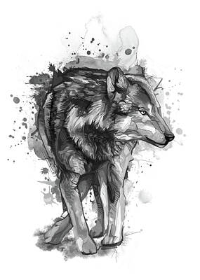 Animals Digital Art - Wolf Watercolor Bw by Bekim M