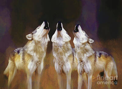 Football Paintings - Wolves  by Gull G