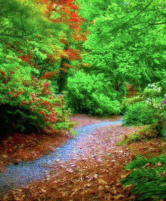Lipstick Rights Managed Images - Wooded Path Royalty-Free Image by Mark Chandler