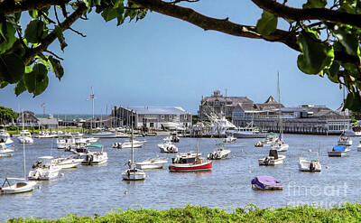 Recently Sold - Animals Photos - Wychmere Harbor - Harwich, Cape Cod by Robert Anastasi