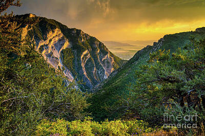 Longhorn Paintings - Y Mountain above Provo Utah at Sunset by Gary Whitton