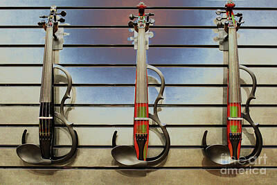 Catch Of The Day - Yamaha Silent Series Violin by Dr Debra Stewart