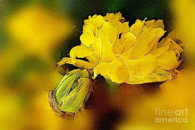 Still Life Digital Art - Yellow Daffodils 7 by Jean Bernard Roussilhe