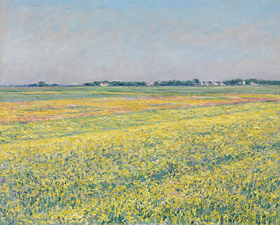 Still Life Paintings - Yellow fields by Gustave Caillebotte by Mango Art