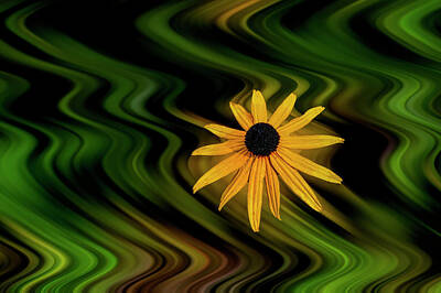 Wild Weather - Yellow flower in focus in kaleidoscope background paintography by Dan Friend