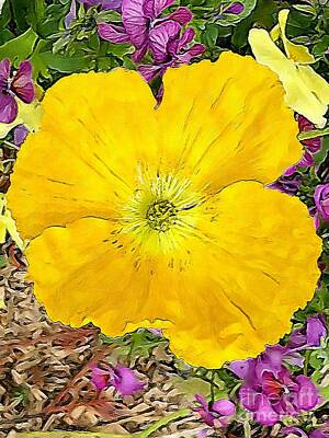 Modern Man Technology - Yellow in the Garden Poppy Digital Artwork by Douglas Brown