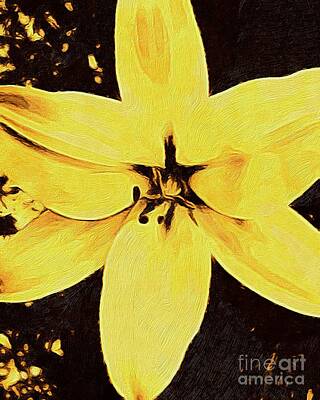 Lilies Digital Art - Yellow Lily Flower Head Digital Artwork  by Douglas Brown