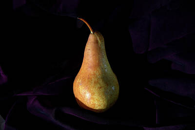Modern Sophistication Modern Abstract Paintings - Yellow Pear on Deep Purple by Katherine Nutt
