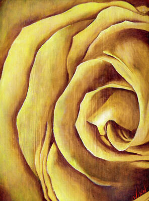 Roses Royalty-Free and Rights-Managed Images - Yellow Rose by Brett Winn