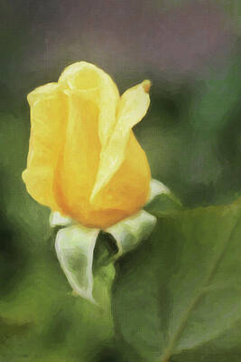 Roses Digital Art - Yellow Rose by James Tibbel
