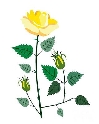 Roses Drawings - Yellow Roses on A White Background by Iam Nee
