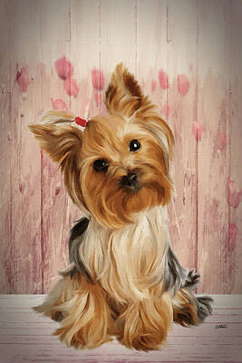 Boho Christmas - Yorkshire Terrier Puppy - DWP1352654 by Dean Wittle