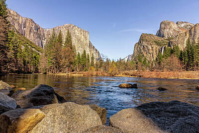 Mother And Child Animals - Yosemite Valley View by Francis Sullivan