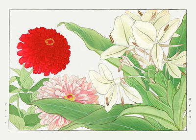 Florals Digital Art - Zinnia, White Ginger Lily Flower - Ukiyo e art - Vintage Japanese woodblock art - Seiyo SOKA ZUFU  by Studio Grafiikka