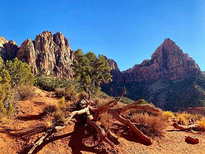 Landmarks Royalty-Free and Rights-Managed Images - Zion - Watchman   by JHolmes Snapshots